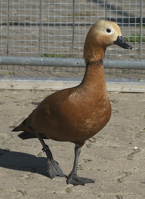 益匪淺