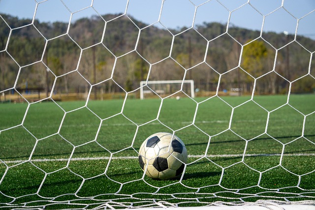 考量因素 考量因素