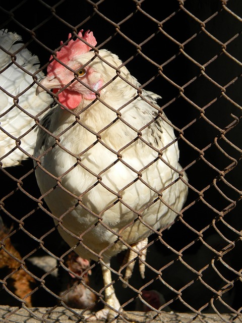 努力的有效 努力的有效