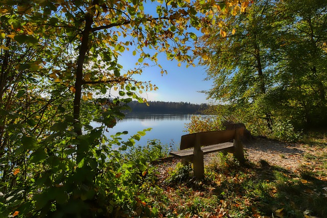 已经成为了 已经成为了