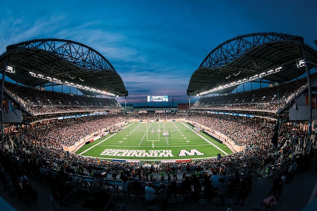 决定加入新 决定加入新