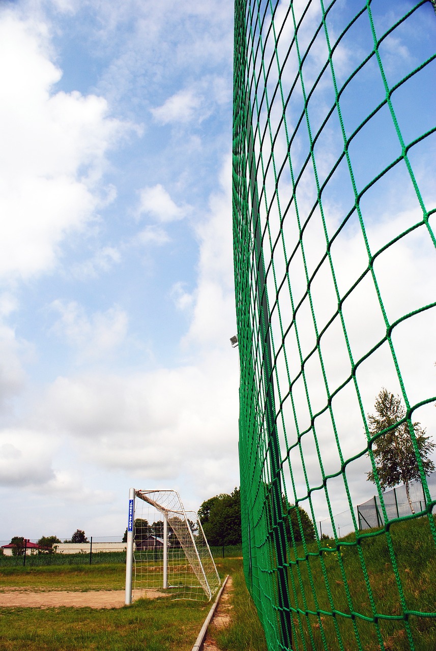 员健康管理 员健康管理